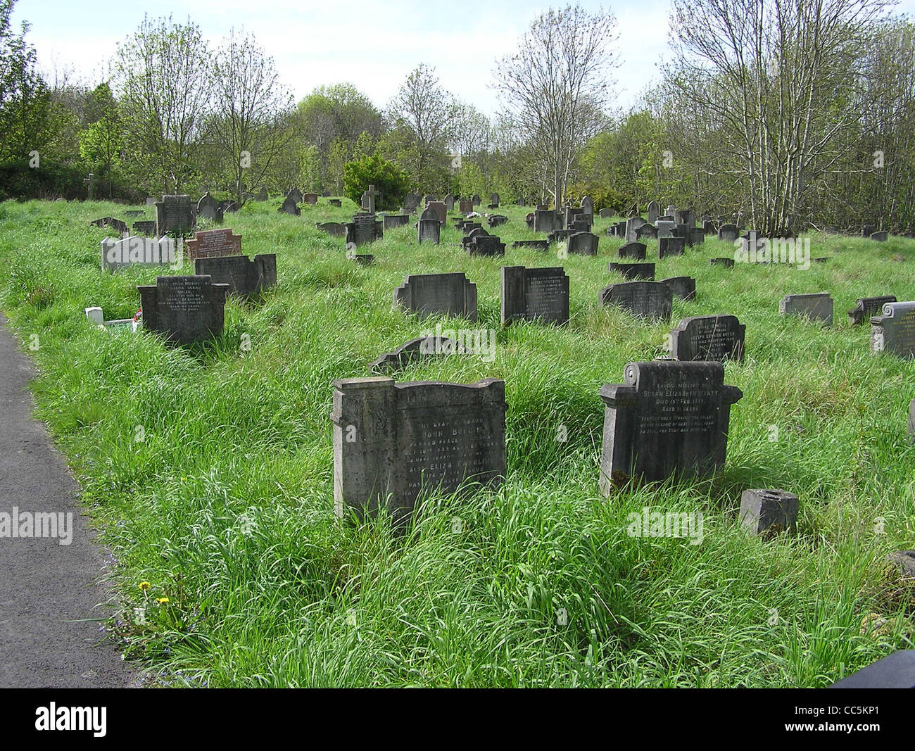 Gräber in langen Rasen auf Arnos Vale Cemetery in Bristol, England. Stockfoto