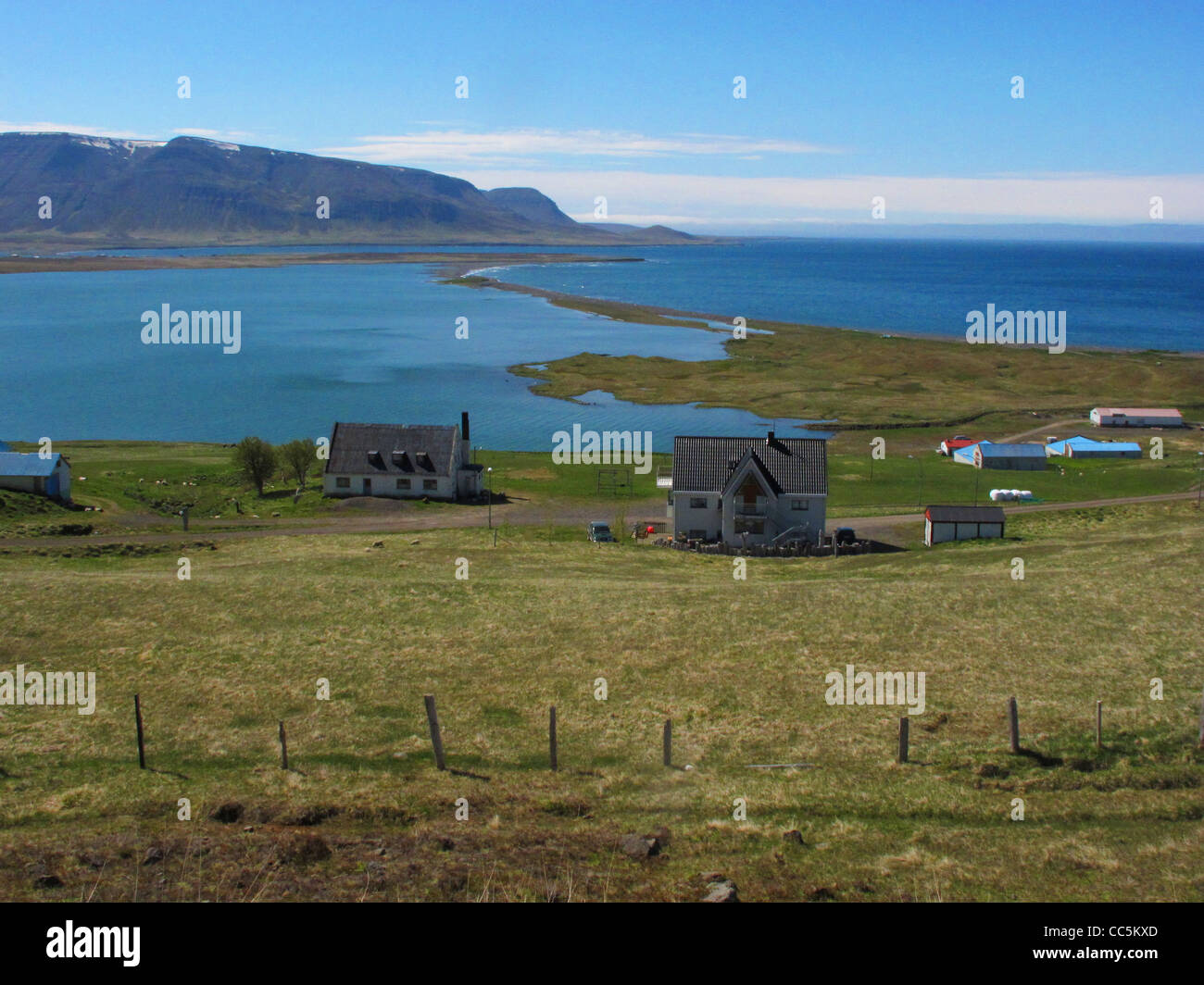 Die Bucht Fljótavík. Hornstrandir, Island, Westfjorde Region. Stockfoto