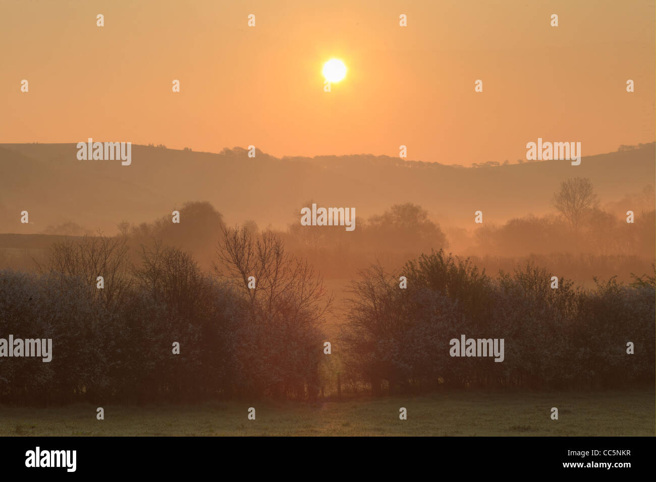 Nebligen Morgen, kurz nach Sonnenaufgang, in der Nähe von Llanidloes. Powys, Wales. Stockfoto