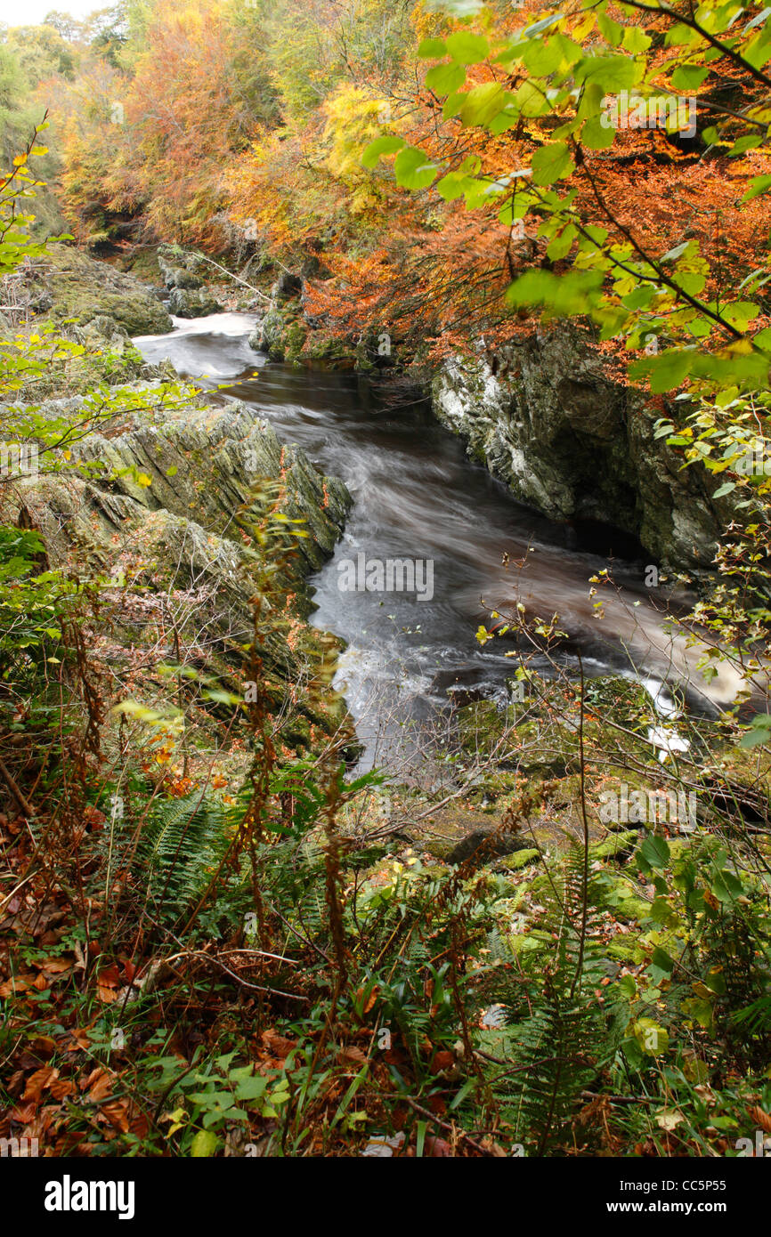Schlucht von der River North Esk, bekannt als der Felsen der Einsamkeit. In der Nähe von Edzell, Angus, Schottland. Oktober. Stockfoto