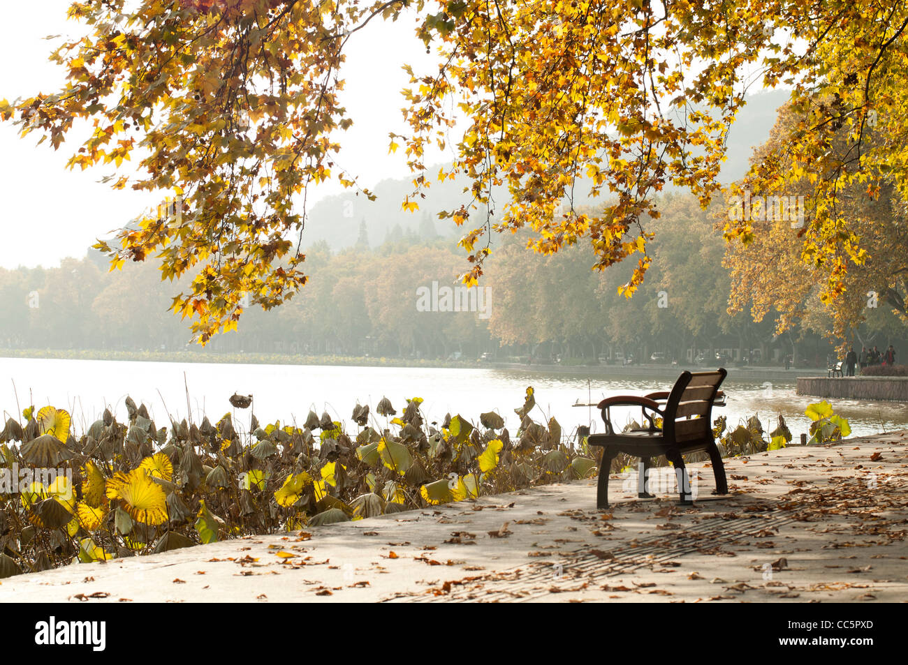 Leere Bank neben West Lake Hangzhou, Zhejiang, China Stockfoto