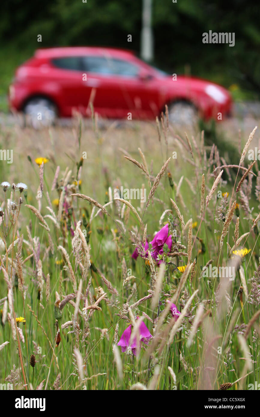 Einem benzinbetriebenen Auto fahren vorbei an einer Wiese von wilden Blumen. Stockfoto