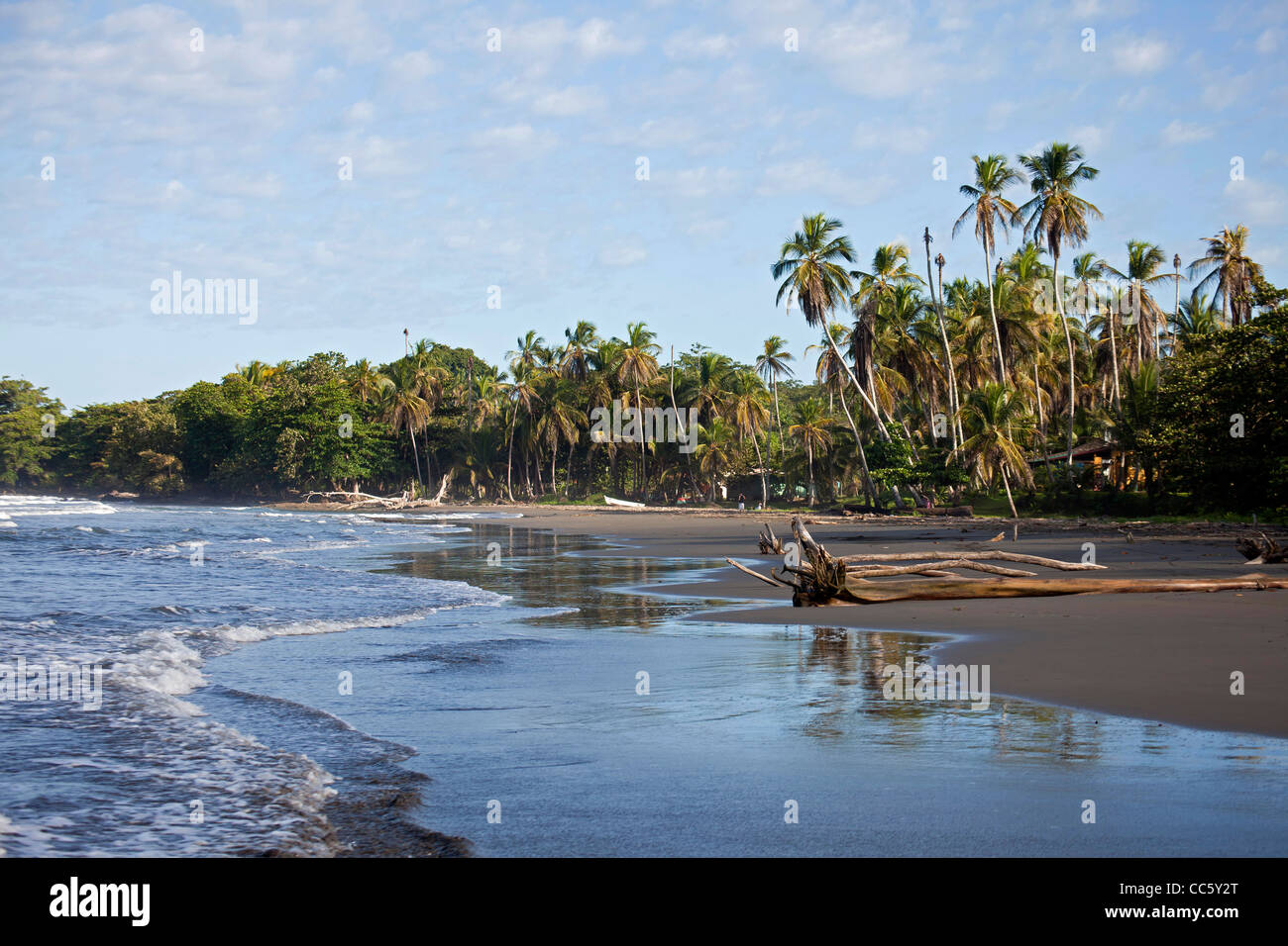 Playa Negra, einem schwarzen Strand an der Karibikküste in Cahuita, Costa Rica, Mittelamerika Stockfoto