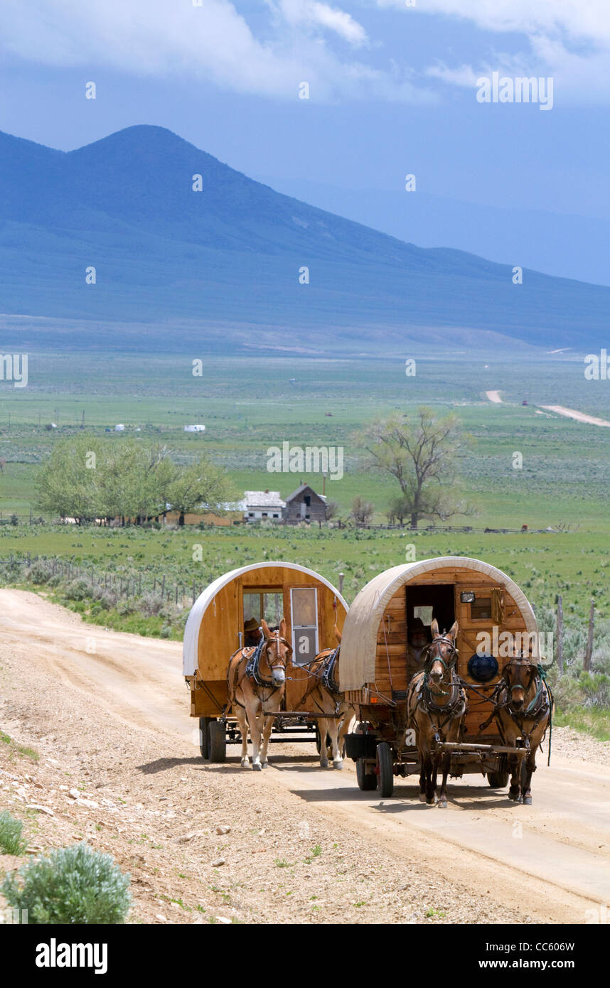 Planwagen, gezogen von Maultieren an der Stadt von Rocks National Reserve und Staatspark in Cassia County, Idaho, USA. Stockfoto