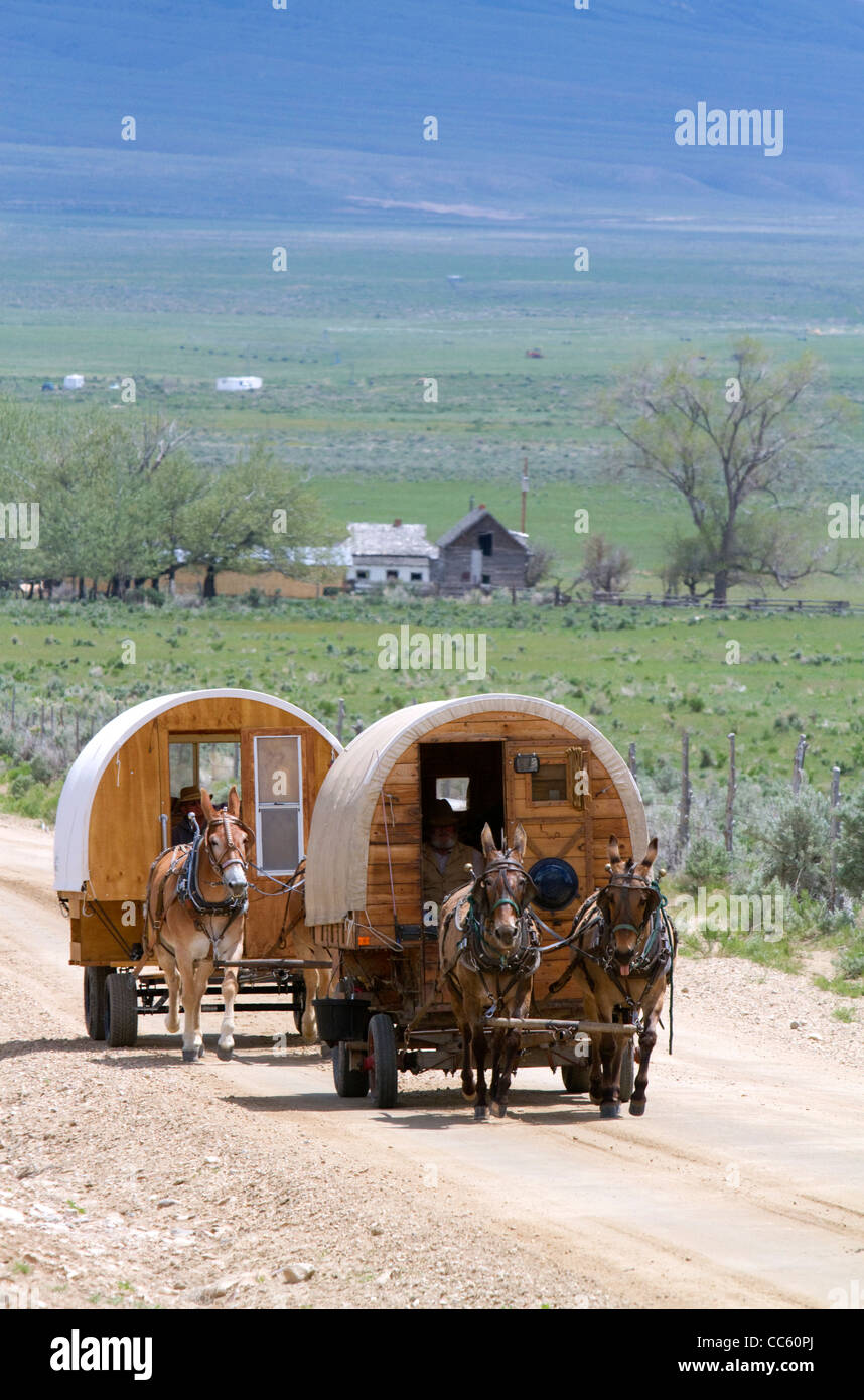 Planwagen, gezogen von Maultieren an der Stadt von Rocks National Reserve und Staatspark in Cassia County, Idaho, USA. Stockfoto