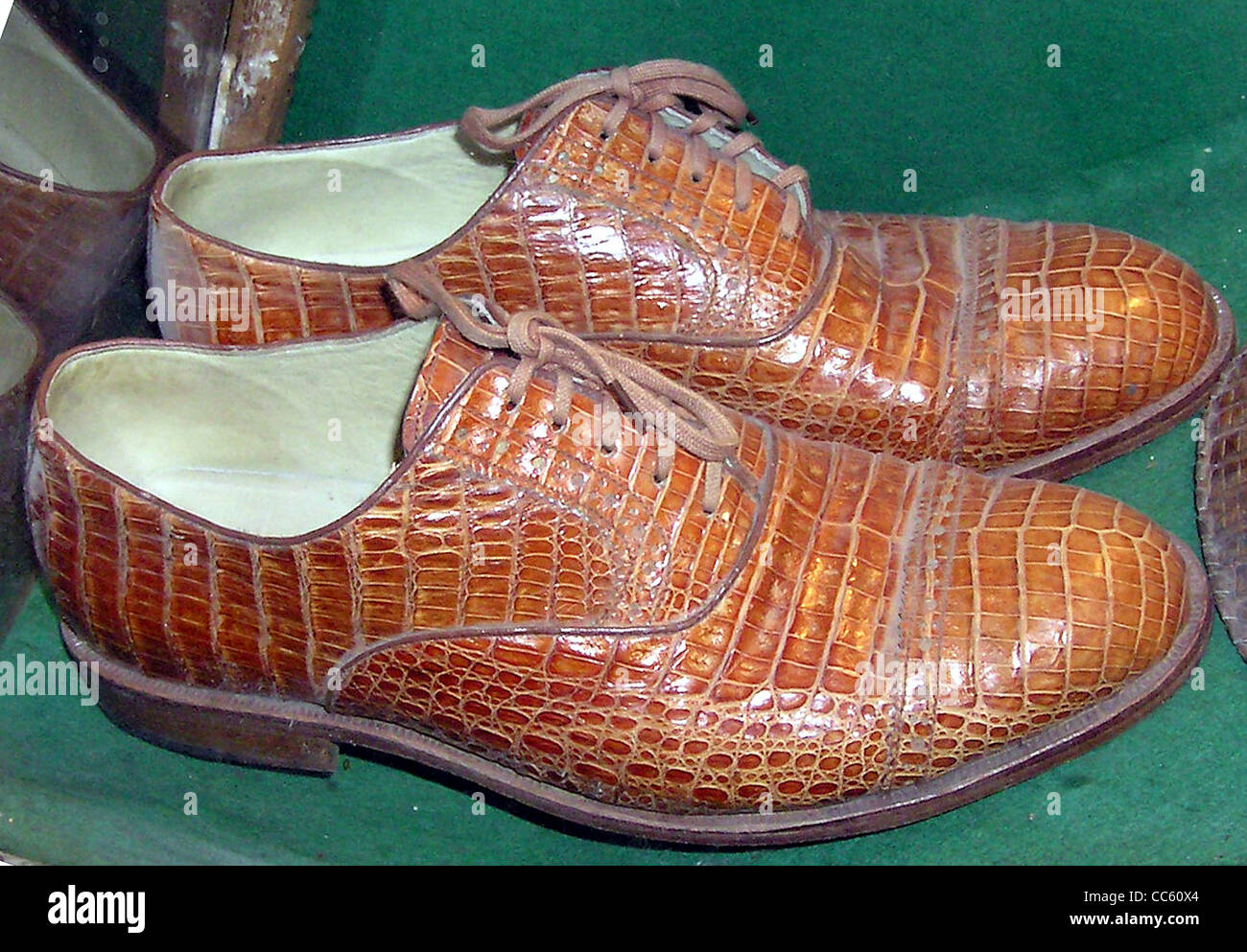Krokodilleder Schuhe in einem Naturschutz-Ausstellung in Bristol Zoo,  Bristol, England Stockfotografie - Alamy