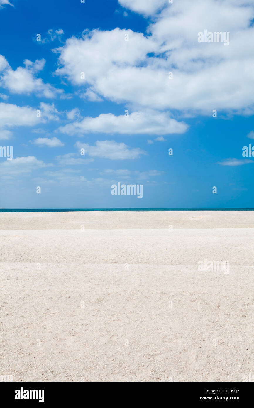 Shell Beach, Western Australia, Australia Stockfoto
