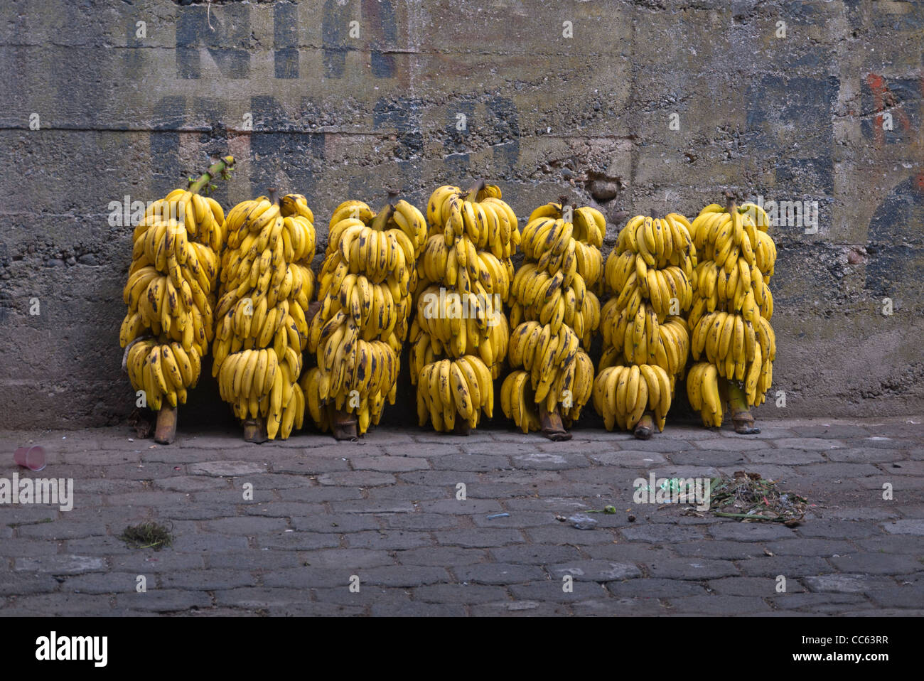 Sieben große Trauben von gelb, reife Bananen Stand aufrecht gegen eine graue Betonwand auf dem Marktplatz in Saquisili, Ecuador Stockfoto