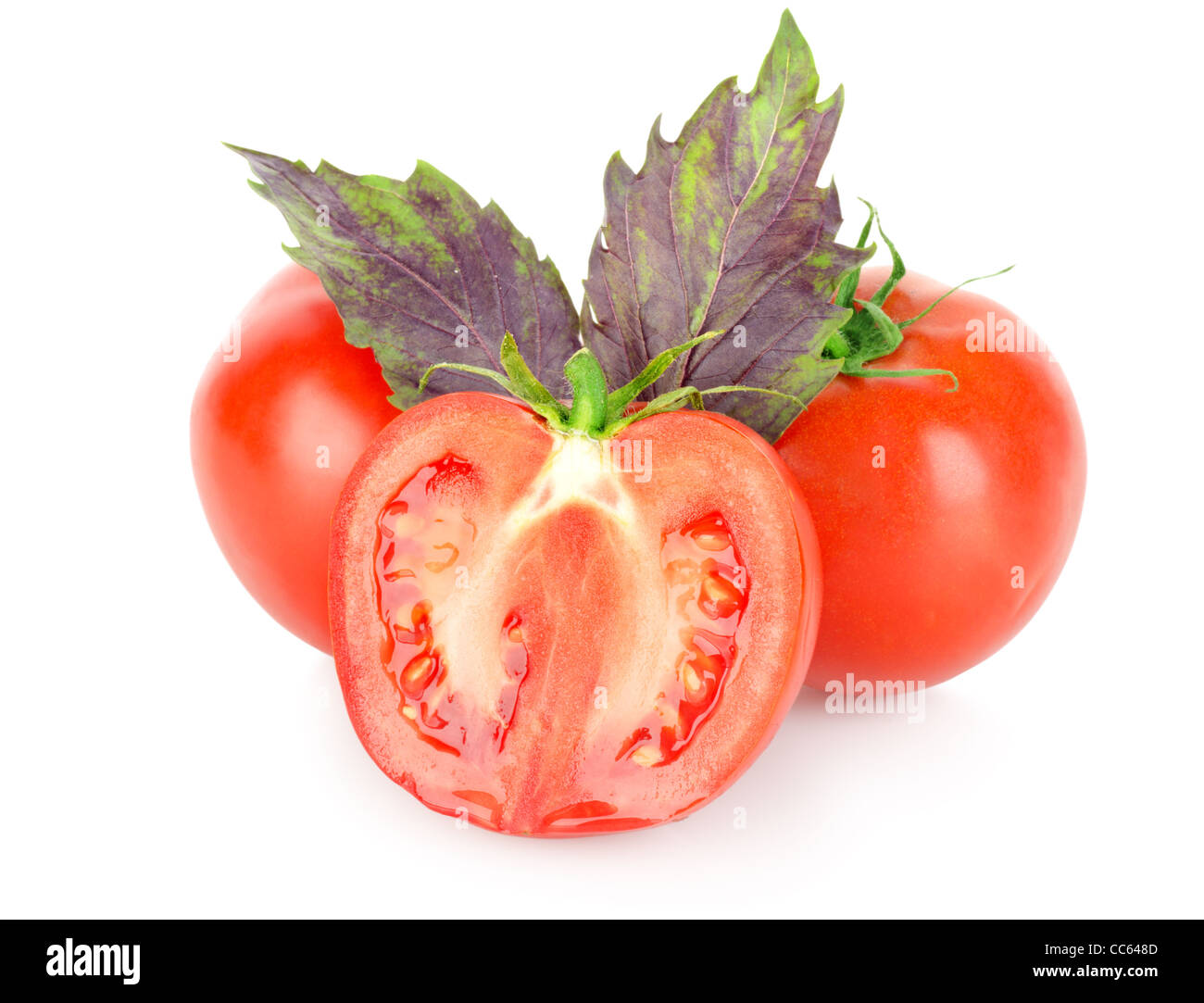 Tomaten und Basilikum auf einem weißen Hintergrund isoliert Stockfoto