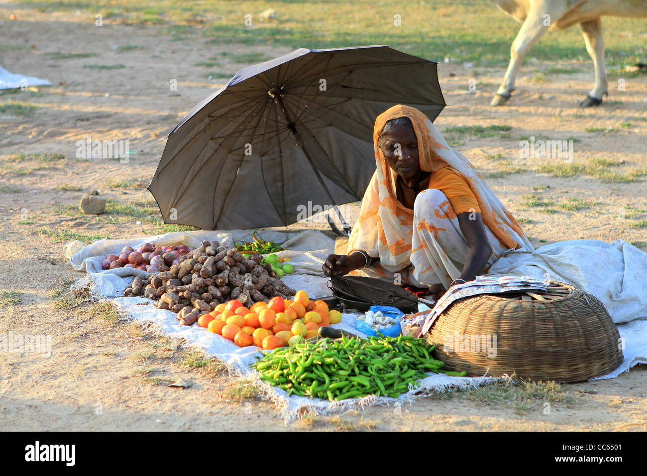 Indische Frau verkaufte Gemüse und Obst auf dem Markt. Khajuraho. Indien Stockfoto