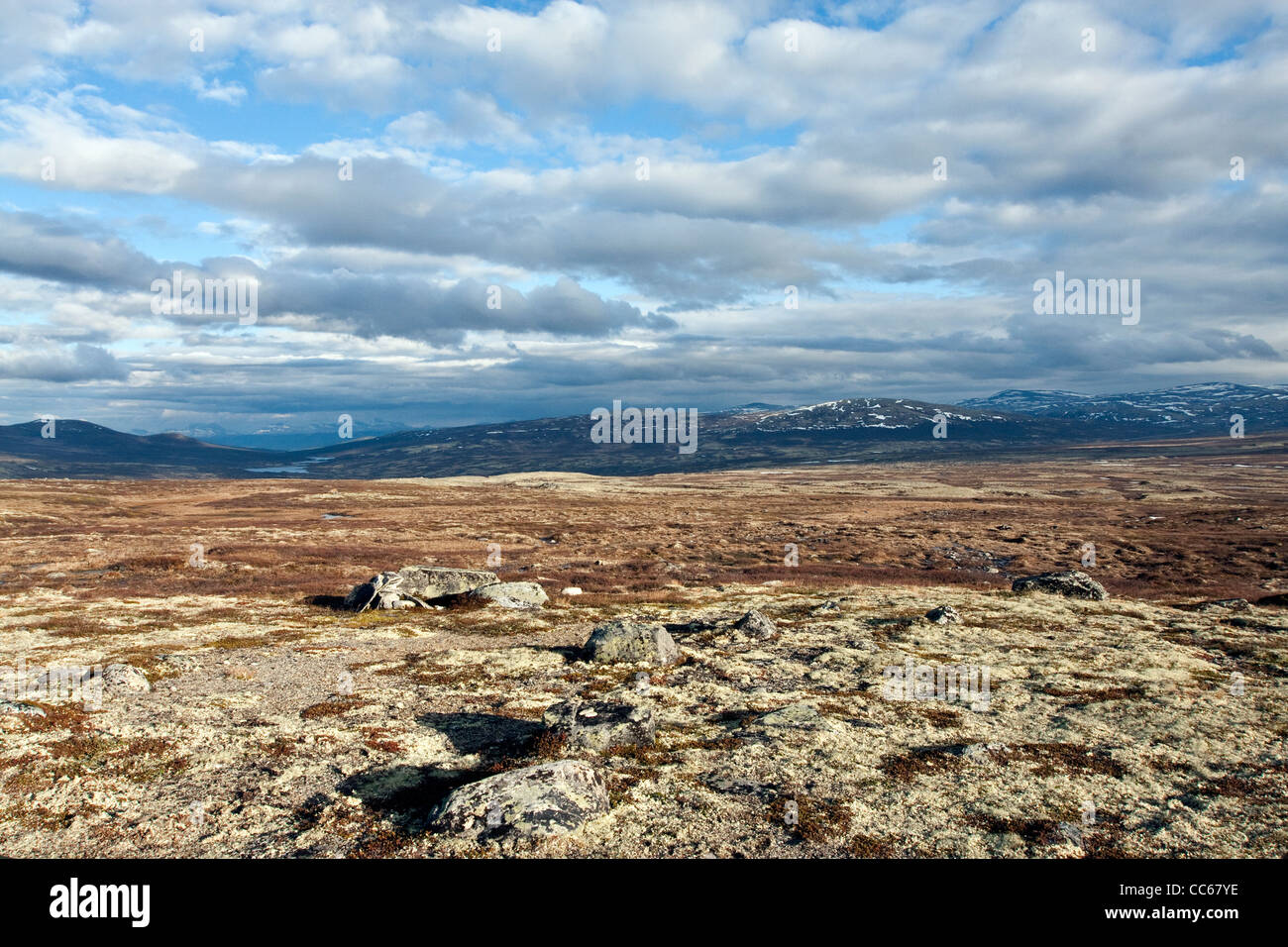 Norwegischen Bergen, montieren Stockfoto