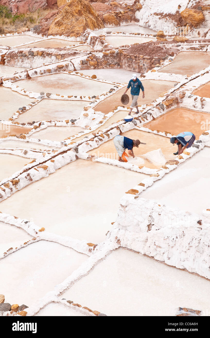 Inca-Arbeiter ernten Salz bei Salinas De Maras Reihenhaus Salinen Pfannen Mine Minen Terrassen, Heiliges Tal, Peru. Stockfoto