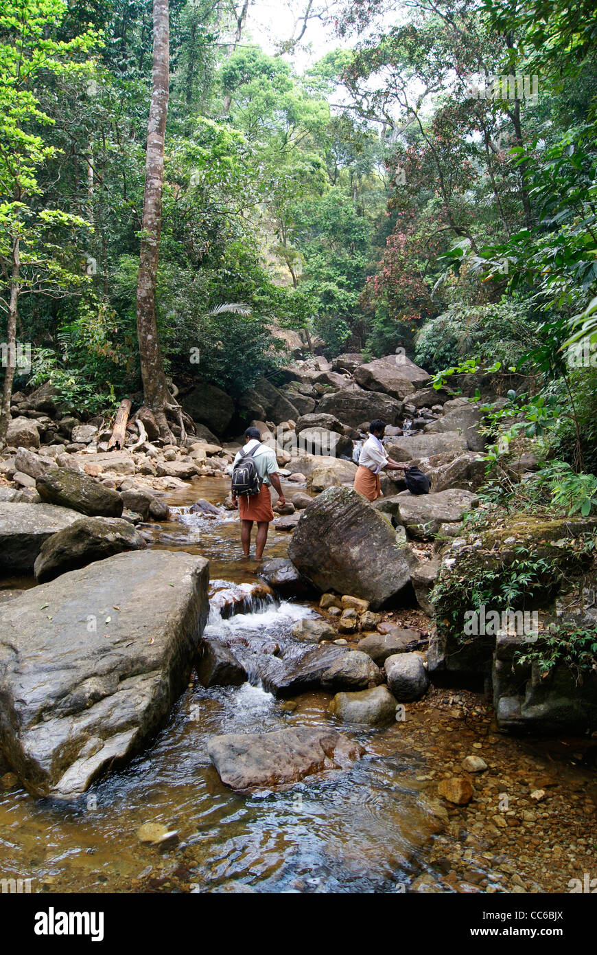 Trekking Menschen durch die harten und dicken Wald Agastyarkoodam Hügel (Bonacaud Forest Range im Peppara Wildlife Sanctuary) Stockfoto