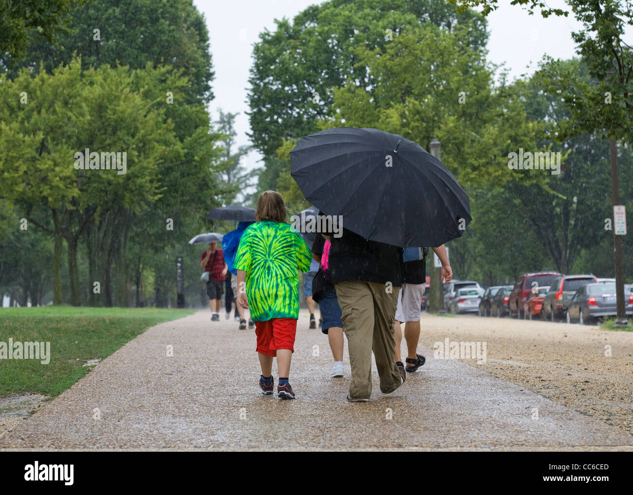 Eine Familie, die im Regen mit einem großen Regenschirm läuft - USA Stockfoto