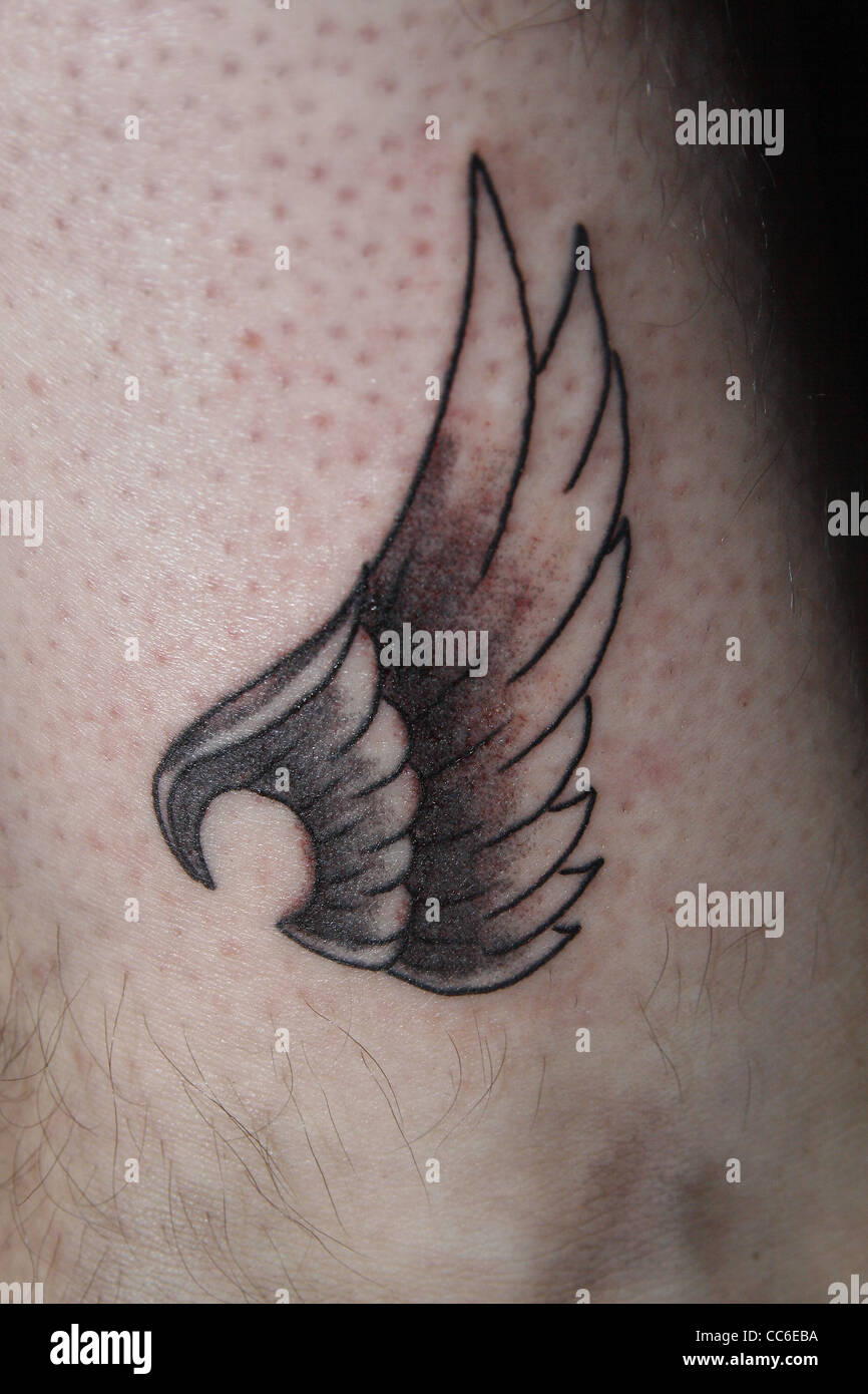 Flügel Tattoo auf männliche Knöchel frisch eingefärbt Stockfoto, Bild