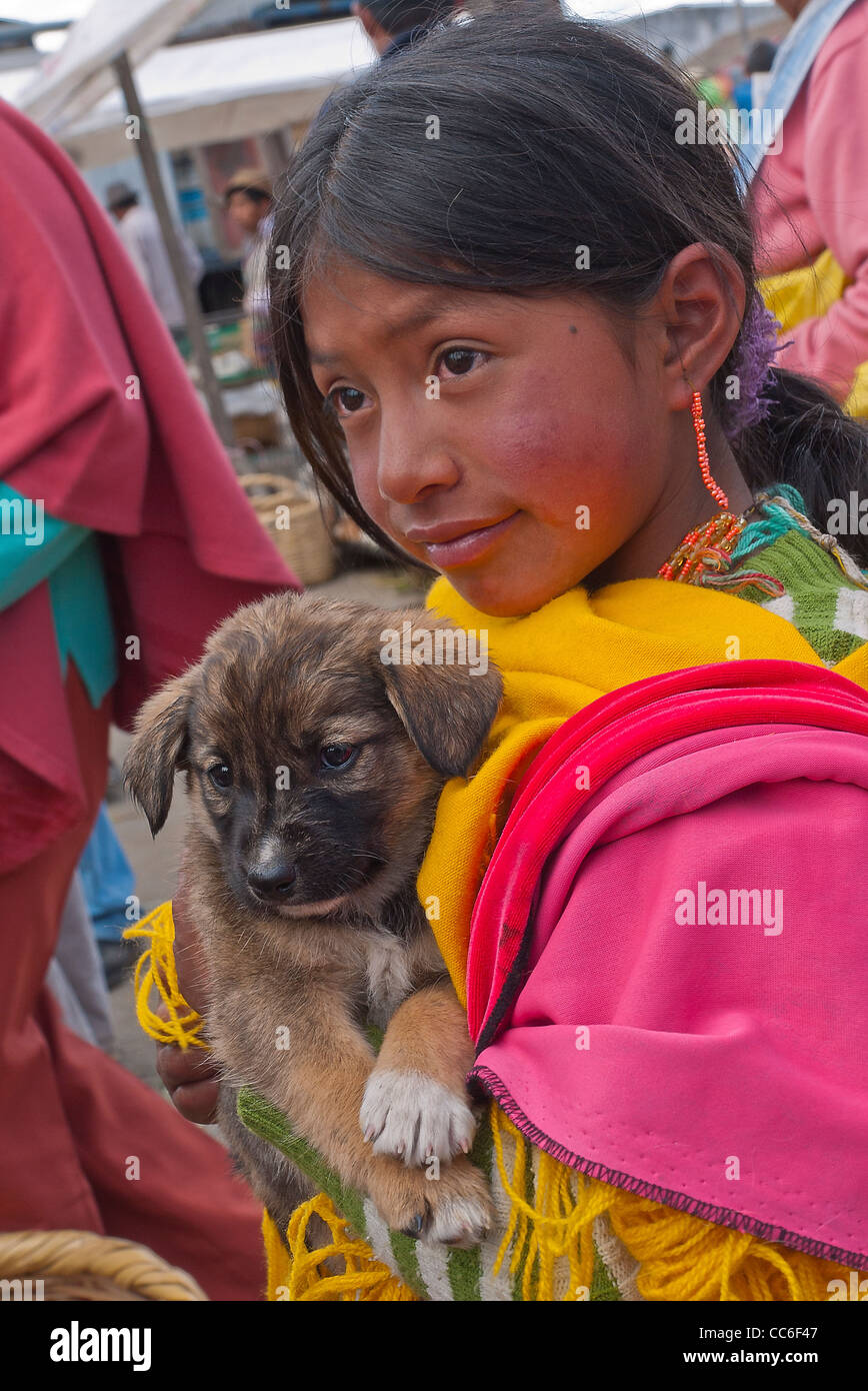 Ein 12-13 jährige ecuadorianischen indische Mädchen hält einen Welpen auf dem Markt in Saquisili, Ecuador. Stockfoto