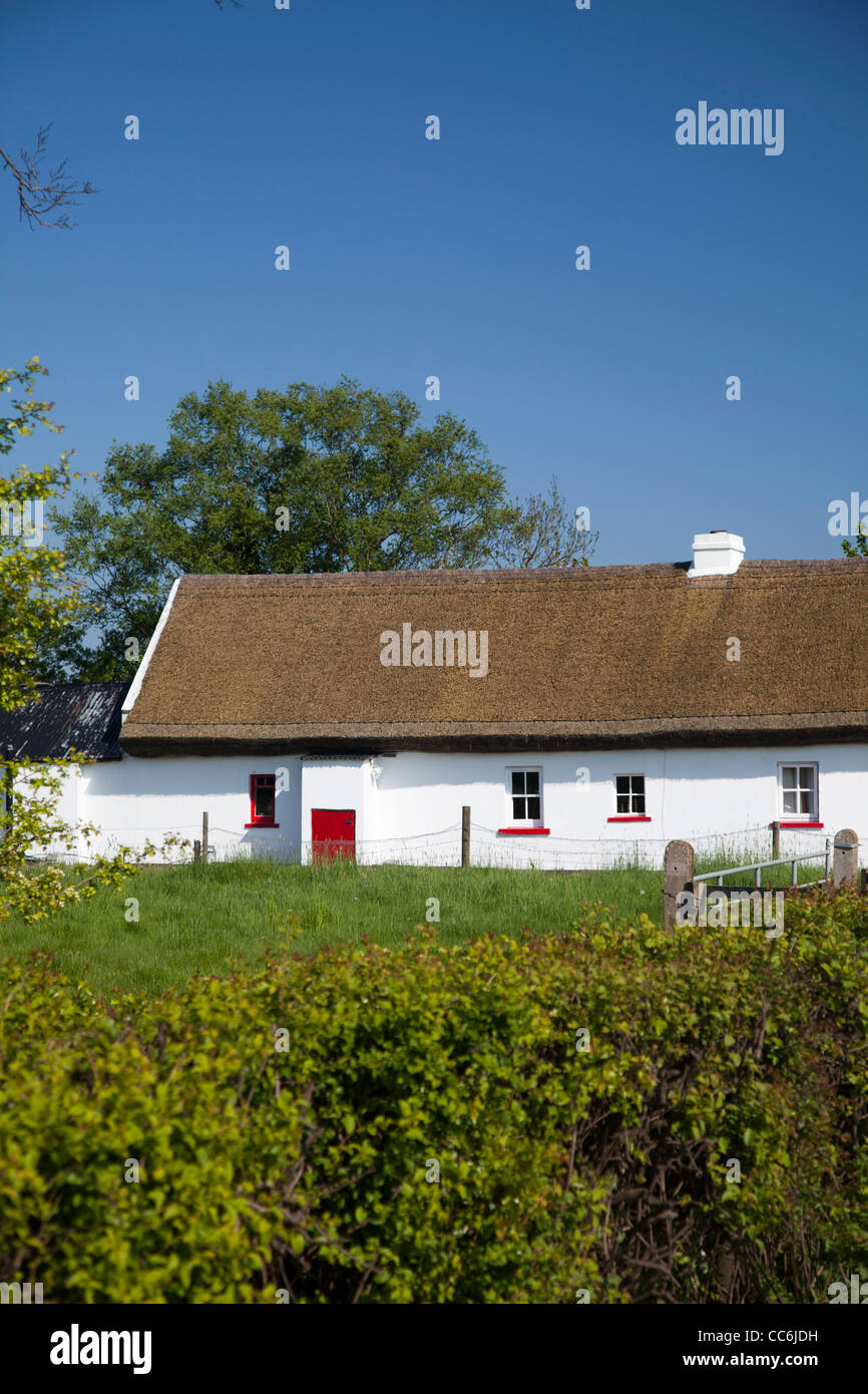 Traditionelle irische Cottage mit Strohdach, die Birken, County Armagh, Nordirland. Stockfoto