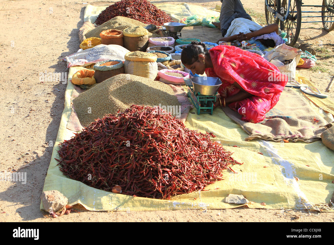 Inderin im outdoor-Markt Verkauf von Gemüse. Khajuraho. Stockfoto