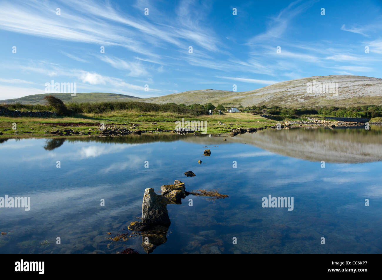 Die kalksteinlandschaft des Burren in Dingle Bay, County Clare, Irland. Stockfoto