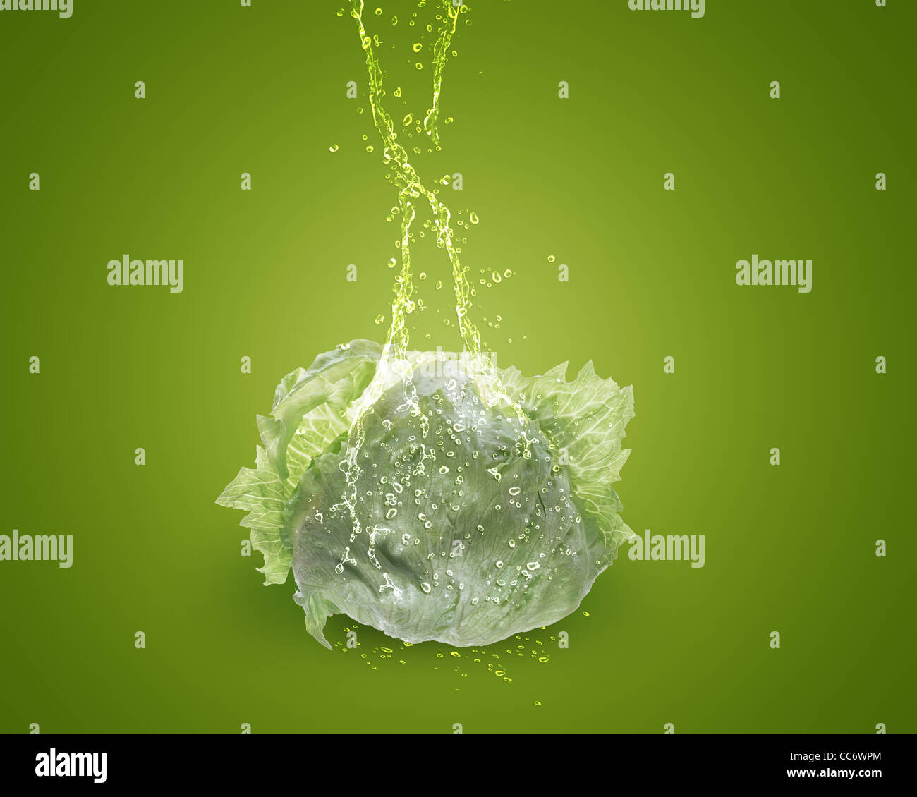 Frischer Salat mit Wasser spritzt auf grünem Hintergrund. Stockfoto