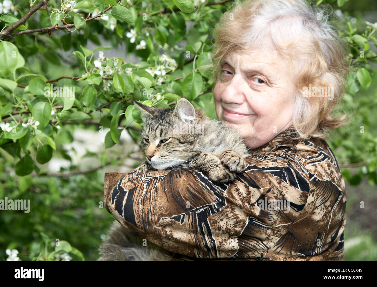 Die alte Frau hält auf Hände Katze gegen einen blühenden Baum Stockfoto