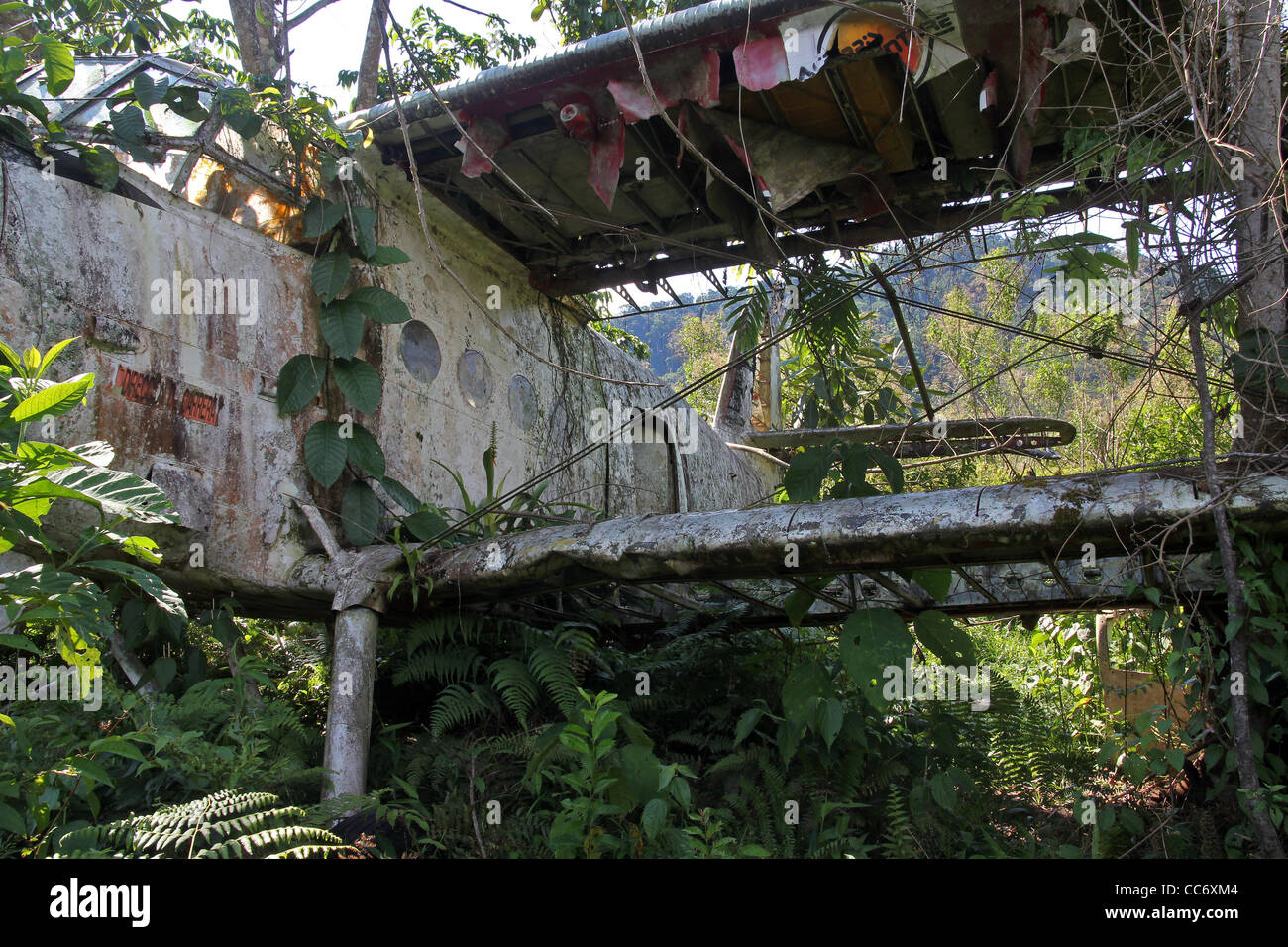 Seitenansicht des abgestürzten russisches Flugzeug im peruanischen Amazonas erstaunliche Geheimnis! Stockfoto