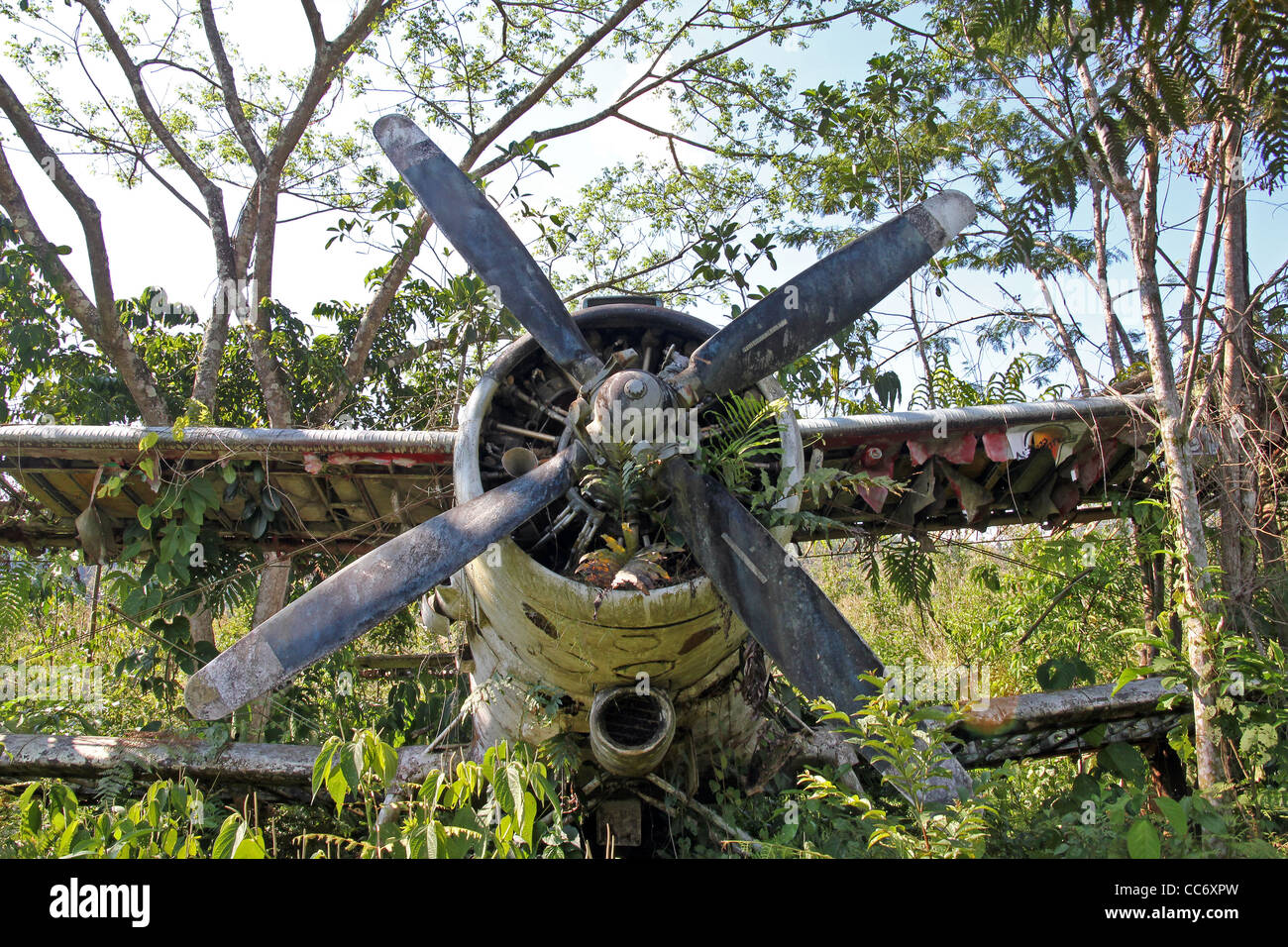 Vorderen Mitte Ansicht abgestürzten russischen Flugzeugs im peruanischen Amazonas erstaunliche Geheimnis! Stockfoto