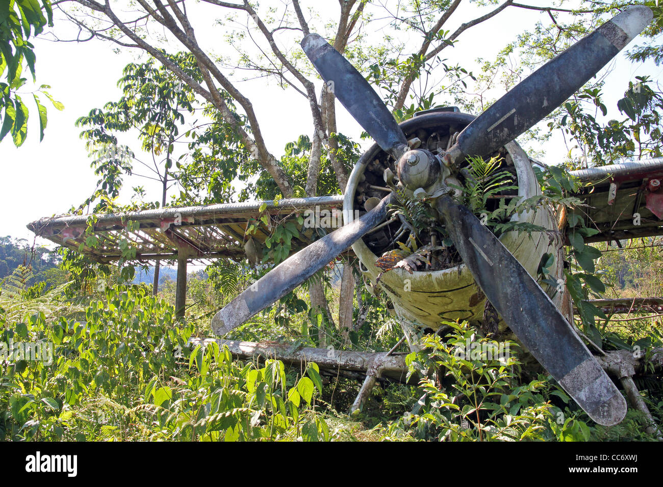 Offset Vorderansicht des abgestürzten russisches Flugzeug im peruanischen Amazonasgebiet Stockfoto