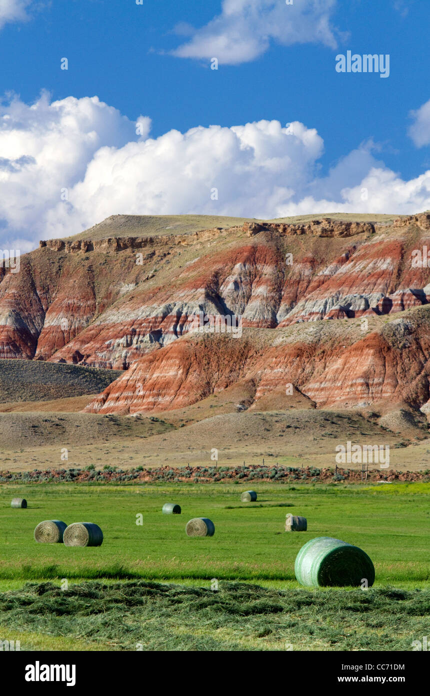 Rote Felsen und neu geernteten Luzerneheu in der Nähe von Dubois, Wyoming, USA. Stockfoto