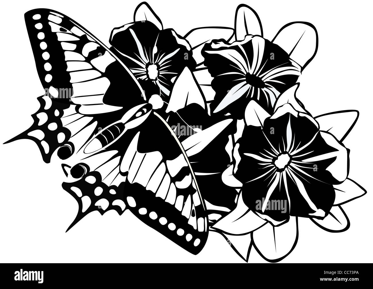 Schmetterling auf Blumen Stockfoto