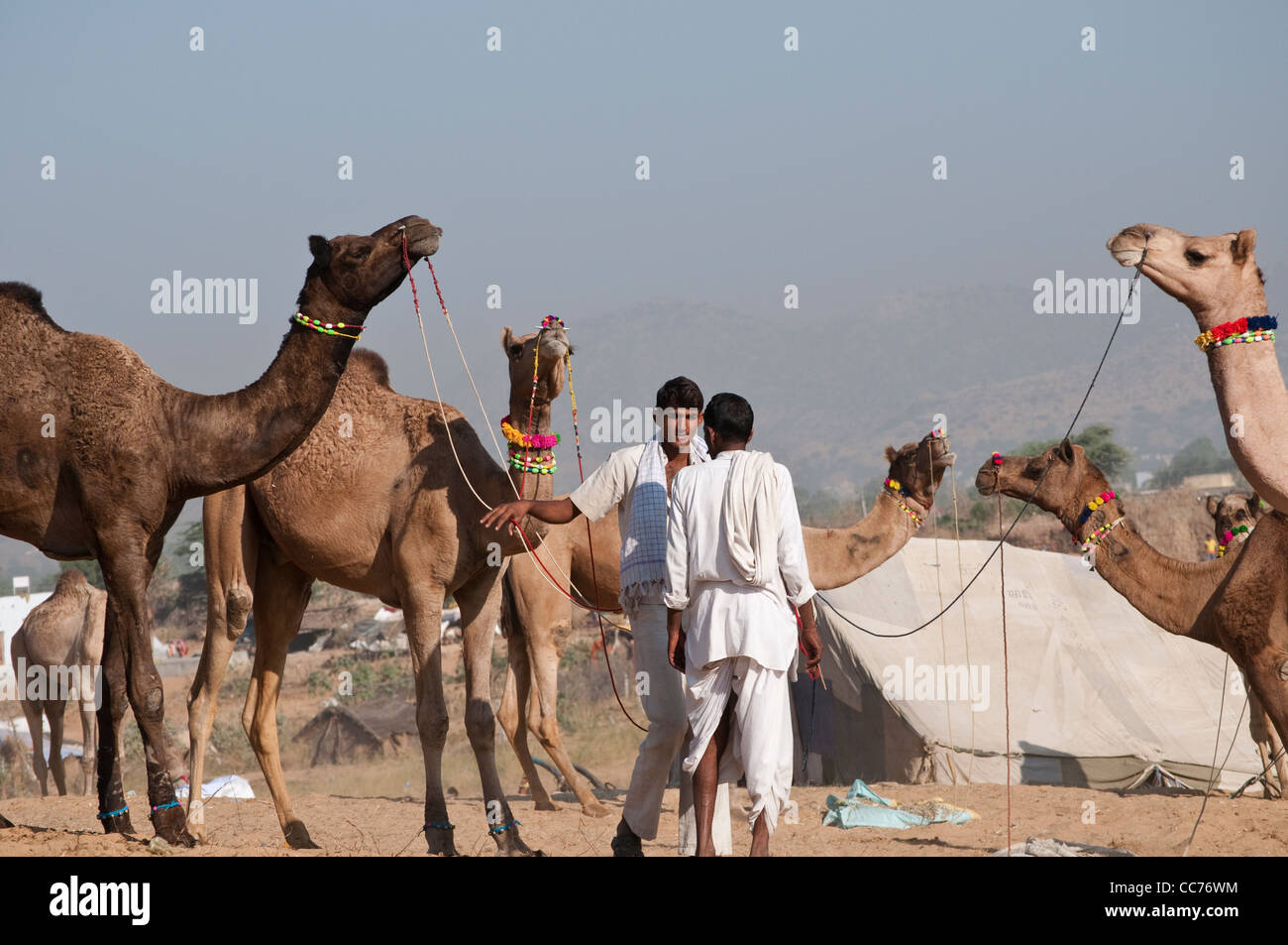 Zwei Männer reden, Camel Fair, Pushkar, Rajasthan, Indien Stockfoto