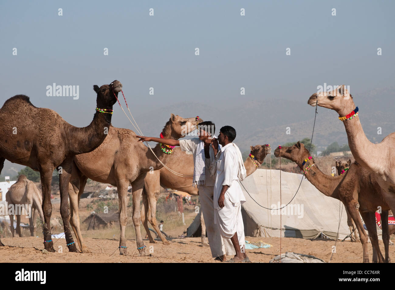 Ein Mann Richtung zur anderen, Camel Fair, Pushkar, Rajasthan, Indien Stockfoto