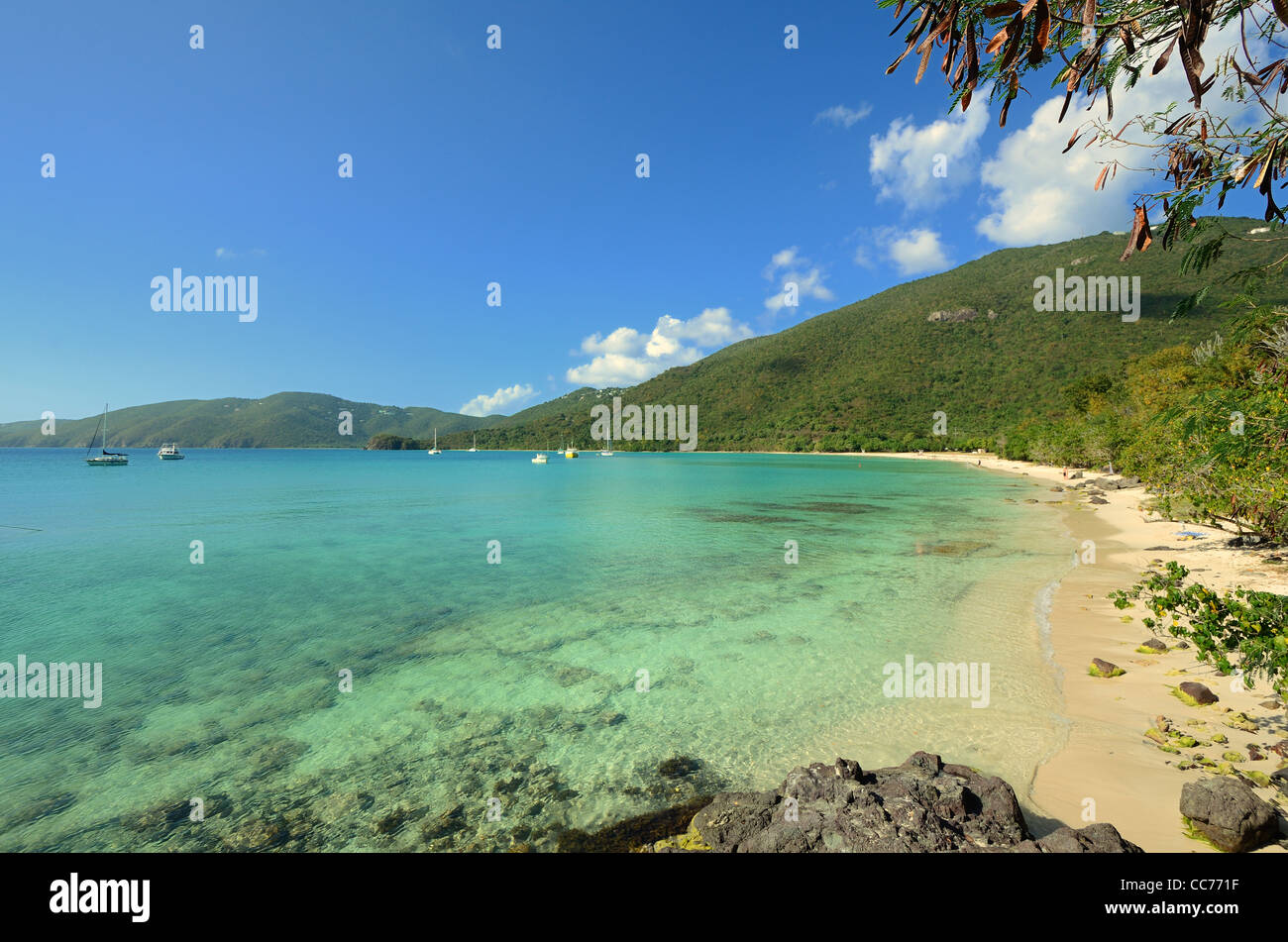 Lagune am Brauer-Strand in St. Thomas, Amerikanische Jungferninseln. Stockfoto