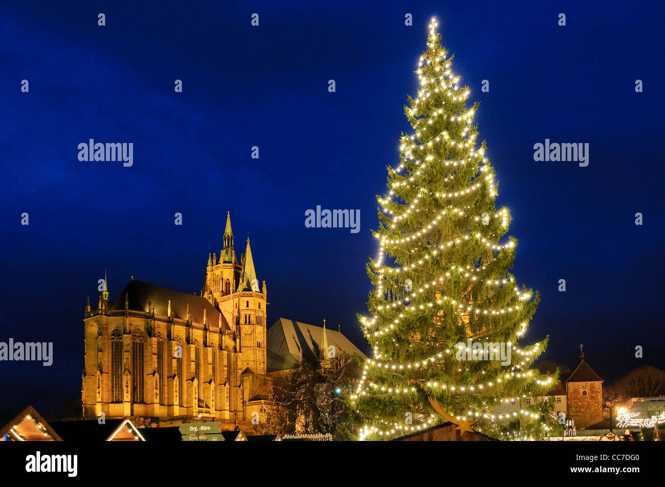Weihnachtsmarkt mit Dom, Erfurt, Thüringen, Deutschland, Europa Stockfoto