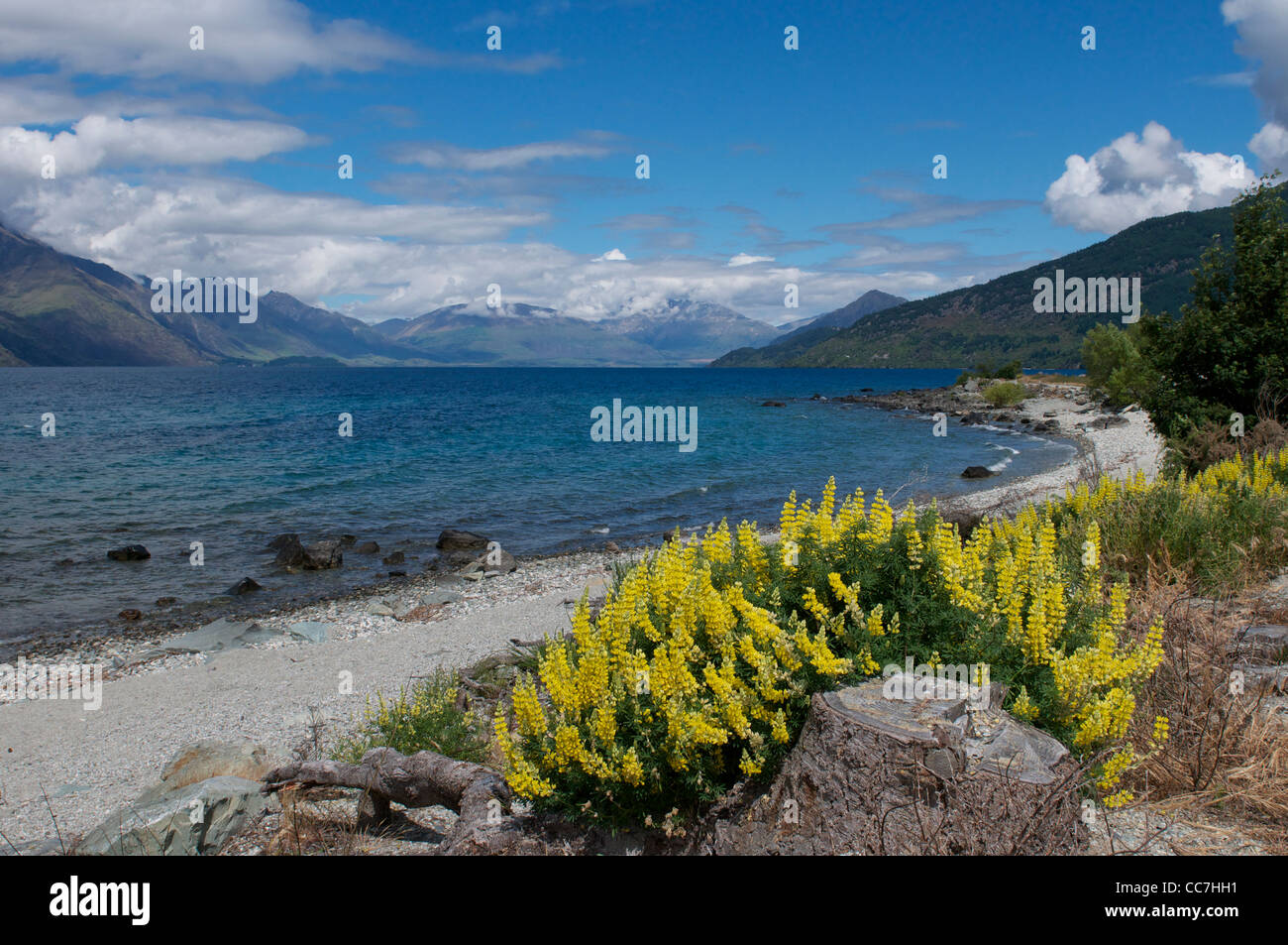 Lake Wakatipu Queenstown Neuseeland Stockfoto