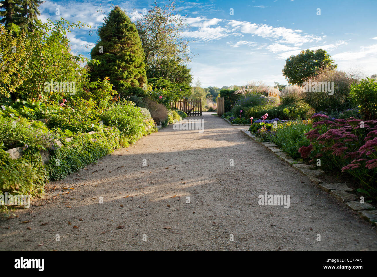Blick über den Kiesweg bis zum Eingang des Gartens, Karl Foerster Garten Potsdam Bornim Deutschland Stockfoto