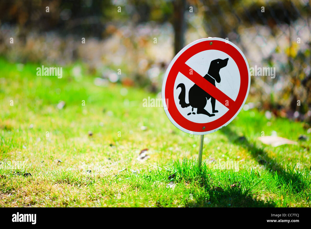 Keine Verschmutzung Zeichen für Hunde auf der Wiese. Stockfoto