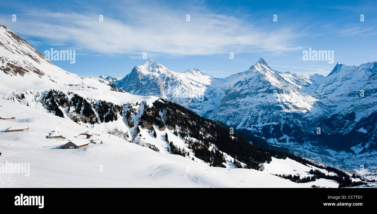 Panorama über Grindelwald im Winter mit Wetterhorn und Schreck-Berggipfel Stockfoto