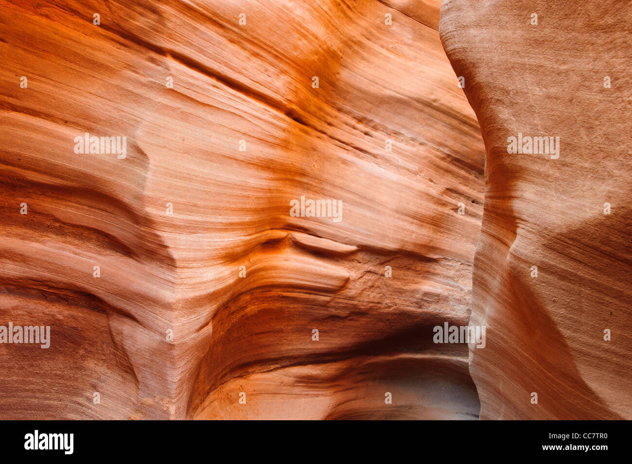 Peek-A-Boo Slotcanyon, Loch in einem Rock Road, Grand Treppe nationales Denkmal, Utah, USA Stockfoto