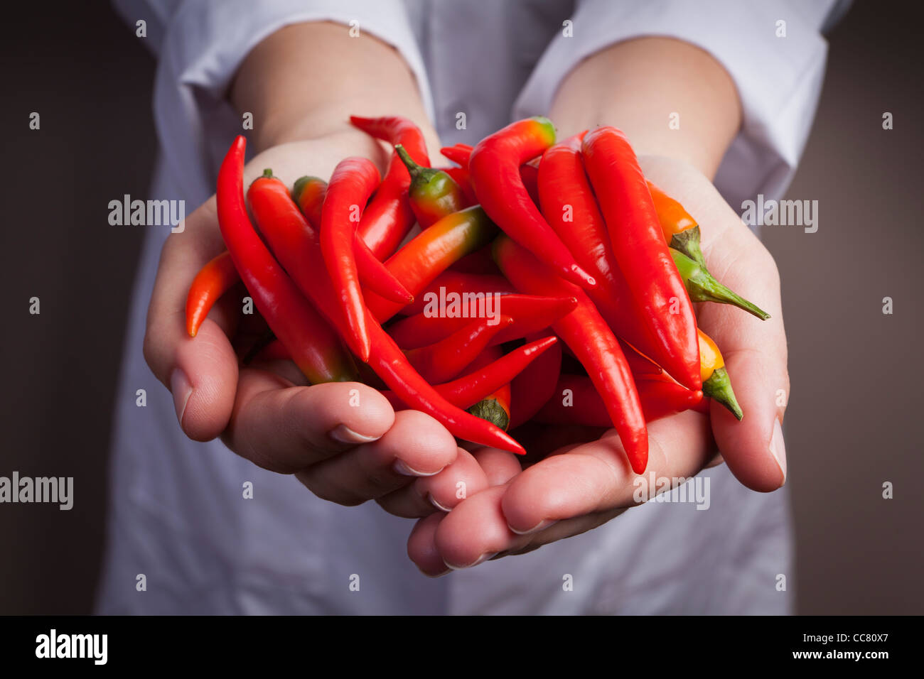 Koch, rotem Chili Peppers in der hand halten Stockfoto