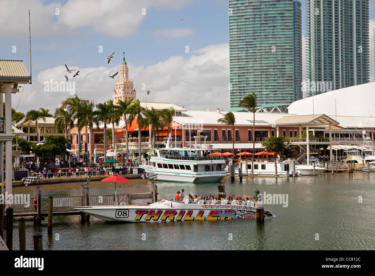 Ausflugsschiffe in der Marina am Bayside Marketplace, Downtown Miami, Florida, USA Stockfoto