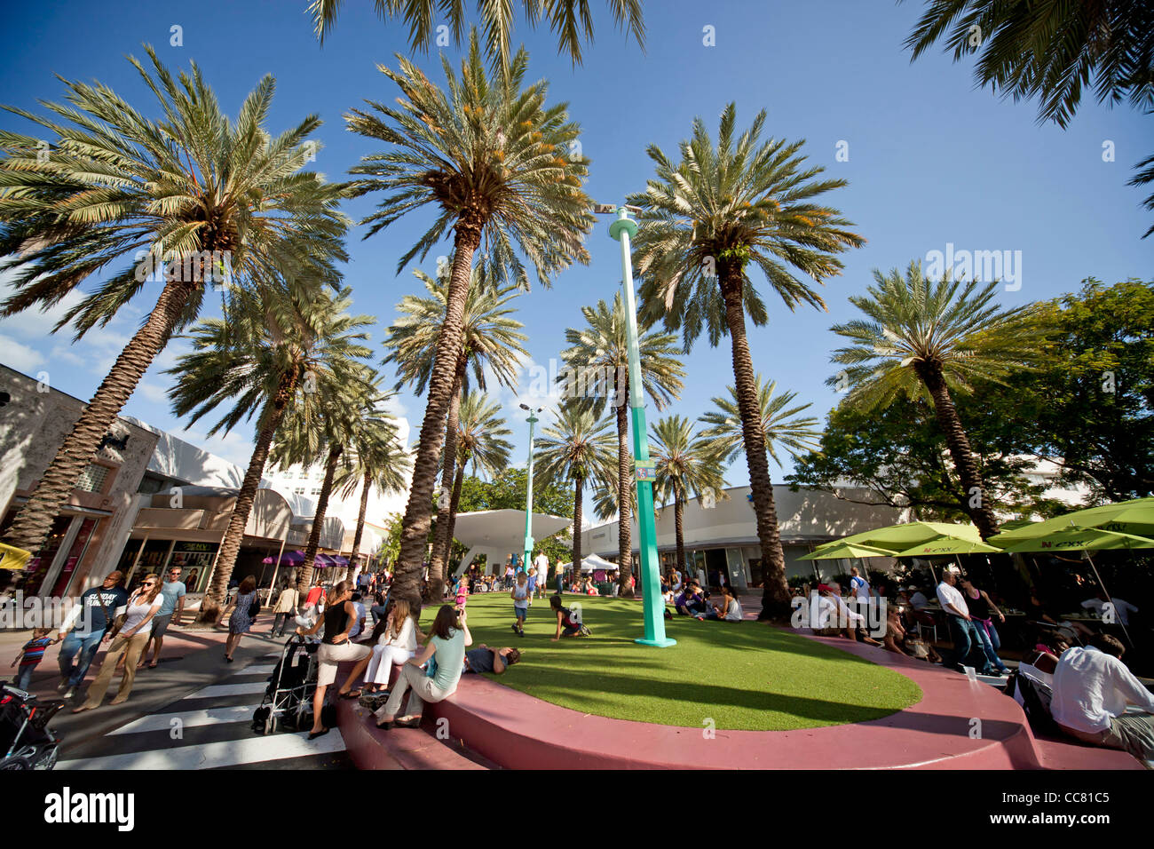 Palmen am Lincoln Road Mall, South Beach, Miami, Florida, USA Stockfoto