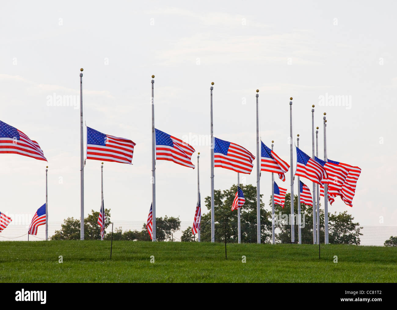 Reihe von US-Flaggen fliegenden Hälfte Mitarbeiter Stockfoto