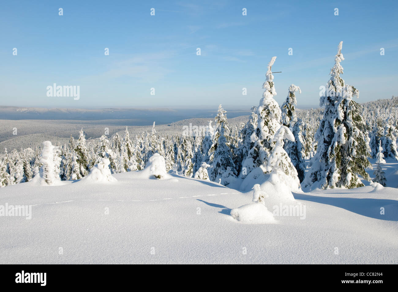 Verschneite Winterlandschaft auf dem Acker, die längste Gebirgskette im Oberharz, Nationalpark Harz, Deutschland Stockfoto