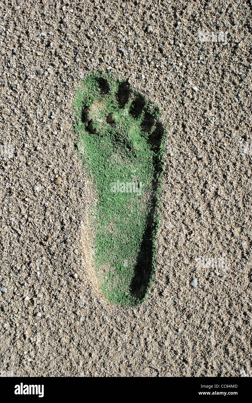 Grüne Kohlenstoff-Fußabdruck im Coral Beach Sand Stockfoto