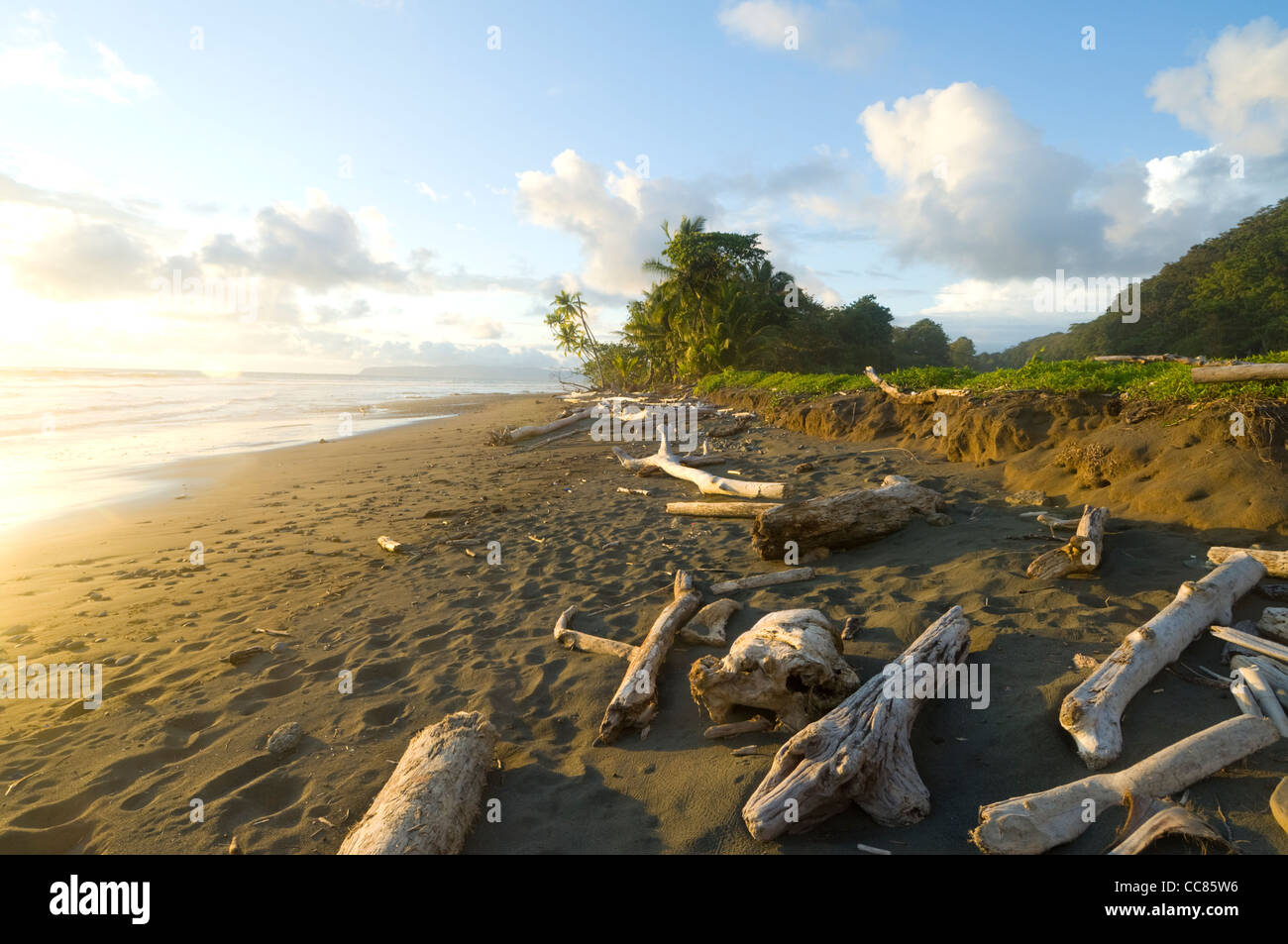 Costa Rica Strand Provinz Puntarenas Stockfoto