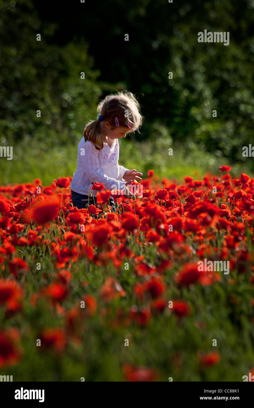 kleine niedliche Mädchen auf rotem Mohn Stockfoto