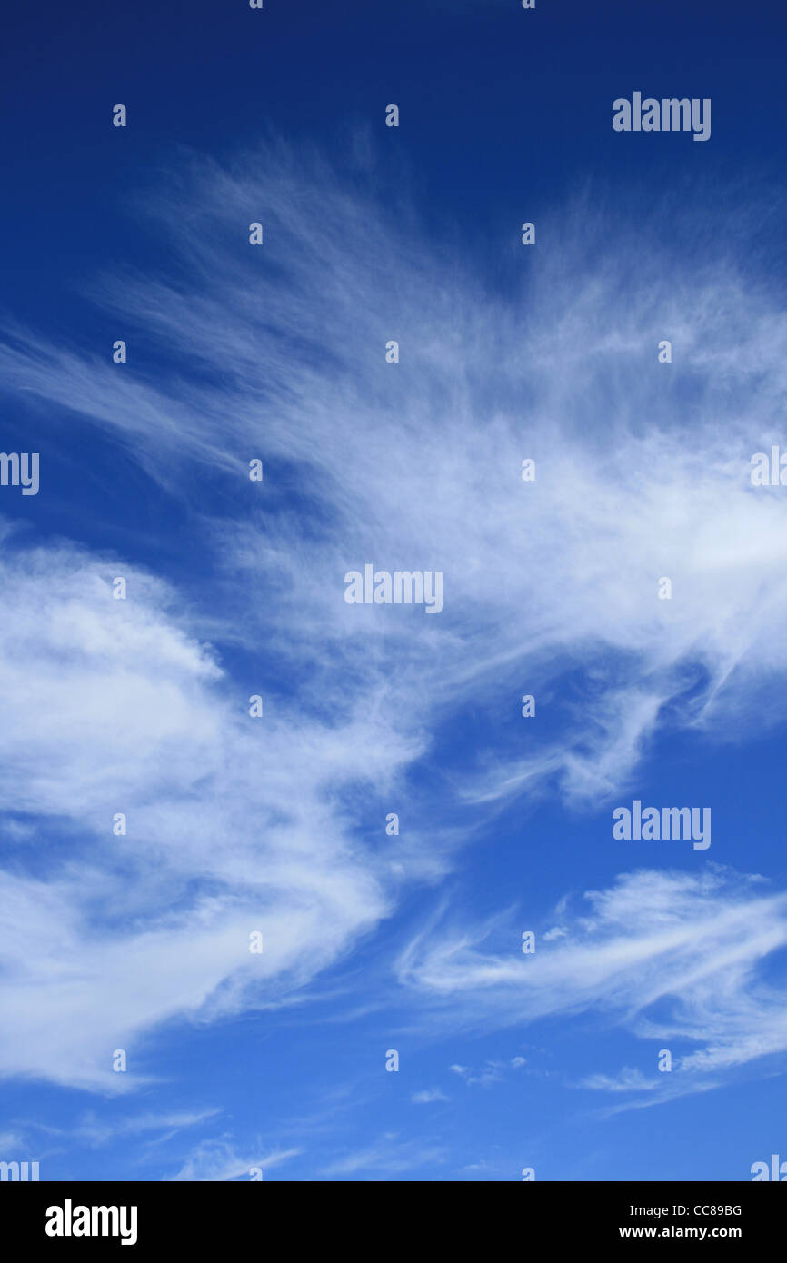 vertikales Bild des blauen Himmels mit feinen weißen Cirruswolken Stockfoto