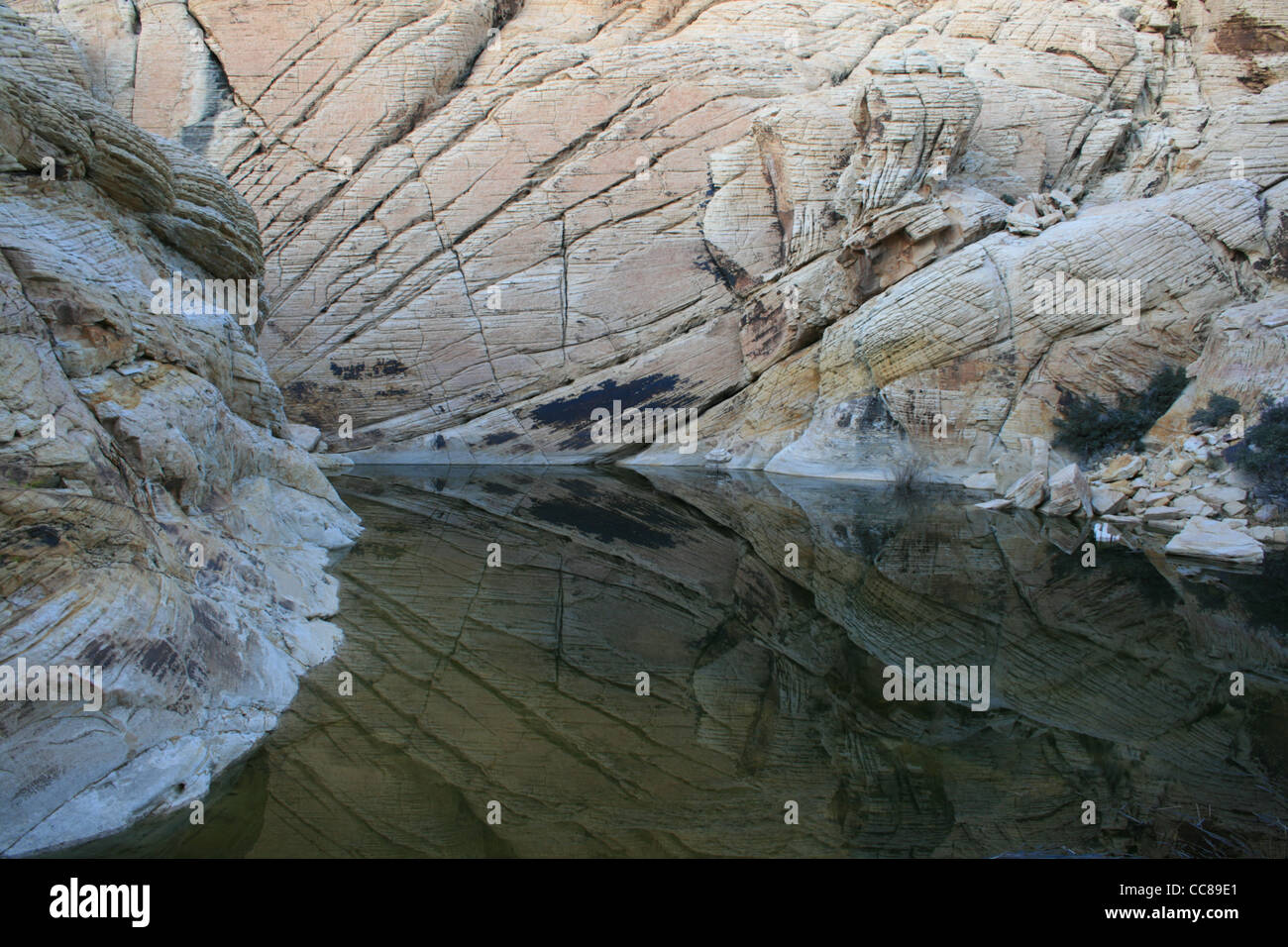 Calico Tank Wasserloch in roten Felsen Erhaltung Bereich, Nevada Stockfoto