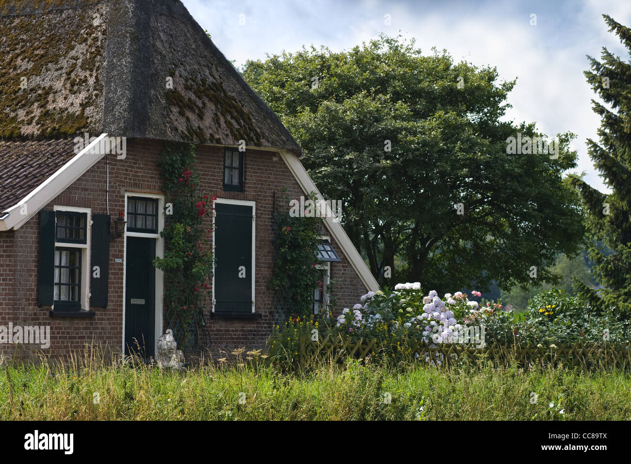 Alte holländische Bauernhof auf dem Lande im Sommer Stockfoto